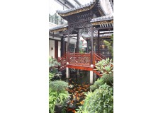 庭院7